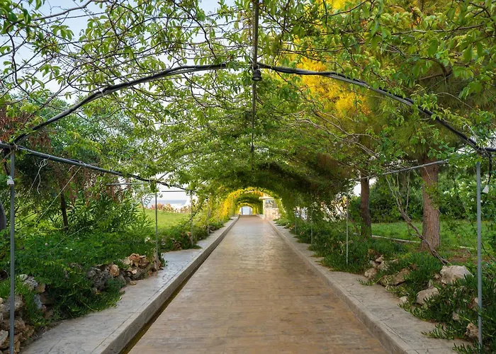 Szálloda Master Family Club Manavgat